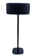 Black Vebos floor stand with Bluesound Mini